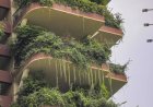 Tales From The Concrete Jungle Chronicles of Urban Life