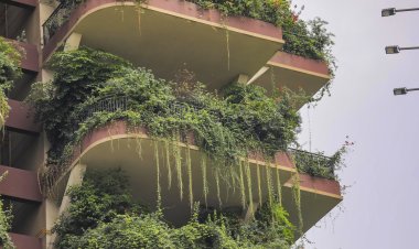 Tales From The Concrete Jungle Chronicles of Urban Life